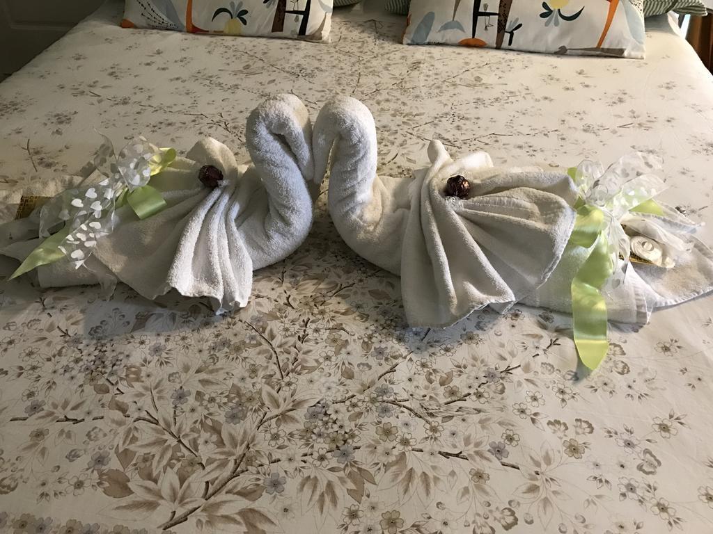 B&B Aurora Domus D'A-Mare 佩萨罗 外观 照片
